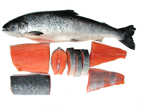 picture_of_salmon_showing_whole_fish_loin_fillets_steaks_and_tail_fillet