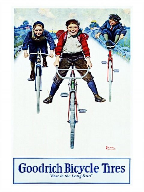 BF Goodrich Bicycle Tires