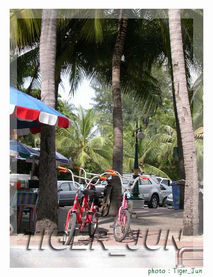 จักรยานบางแสน