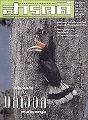 "Sarakadee" Vol. 17 No. 195 May 2001
