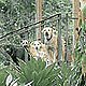 (คลิกดูภาพใหญ่)