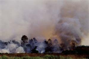 วัดขุนสมุทรทราวาส