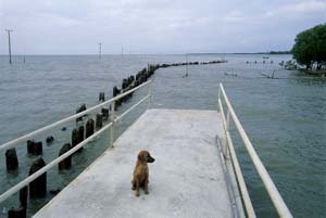 วัดขุนสมุทรทราวาส