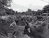 คลิกดูภาพใหญ่