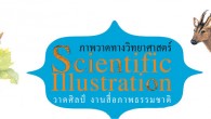 สารคดีพิเศษ ฉบับ ๓๒๓ ภาพวาดทางวิทยาศาสตร์ Scientiefeic Illustration วาดศิลป์ งานสื่อภาพธรรมชาติ / กว่าจะเป็น ต.๙๙๔ แห่งราชนาวีไทย
