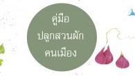 คู่มือปลูกสวนผักคนเมือง สำหรับคนเมืองที่มีพื้นที่บ้านไม่มากนัก อาจมีที่ว่างตรงระเบียง ดาดฟ้า หน้าบ้าน หลังบ้านหรือข้างบ้าน ก็เพียงพอให้ตั้งกระถางปลูกผักกันแล้วละ