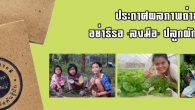 ประกาศผลกิจกรรม “อย่ารีรอ ‘ลงมือ’ ปลูกผักสวนครัว” หลังจากได้มีการจัดประกวด ถ่ายภาพ “การปลูกผัก” หรือ “ผักในกระถาง” ที่คุณปลูกพร้อม “ซองผักสีน้ำตาล” ที่ สารคดี แจกใน นิตยสาร ฉบับ ๓๒๕ มีนาคม ๒๕๕๕ เมื่อเดือนมีนาคมนั้น มีผู้ส่งภาพตอบรับเข้ามาอย่างอบอุ่น นอกจากภาพในต่างมุมมองที่ส่งเข้ามาผู้ปลูกยังส่งมาพร้อมชื่อภาพ คำบรรยาย บันทึกต่างๆ ของแต่ละคน ล้วนแสดงให้เห็นถึงเรื่องราวการปลูกผักที่แตกต่างกันไป ไม่ว่าจะเป็นกิจกรรมสานสัมพันธ์ของครอบครัว สนุกกับสัตว์เลี้ยง แสดงพื้นที่รื่นรมย์ของบ้าน ไปจนนักปลูกมืออาชีพกับมือใหม่หัดปลูก ทางนิตยสาร สารคดี ขอขอบคุณทุกท่านที่ส่งภาพมาร่วมสนุก ผู้ถ่ายภาพที่ได้รับการคัดเลือกทุกท่านสามารถส่ง ชื่อ-ที่อยู่ เพื่อรับของรางวัล หรือหากไม่ทราบข่าว ทางเราจะติดต่อกลับไปอีกครั้ง โดยภาพถ่าย ๒๐ ภาพแรกที่ถูกกด Like สูงสุด เจ้าของภาพจะได้รับรางวัลหนังสือ “นายรอบรู้” ชุดใหม่ล่าสุด ท่านละ ๕ เล่มส่งถึงบ้านฟรี มีดังนี้ (กดที่ภาพเพื่อชมภาพที่ใหญ่ขึ้นใน Facebook หรือชมภาพทั้งหมดได้ที่ อัลบั้มภาพ “ปลูกผักกันดีกว่า” ) โดย คุณวีรวัฒน์ กังวานนวกุล โดย คุณมธุรส - อยากปลูกดูว่าผักออกมาแล้วรูปร่างหน้าตาเป็นอย่างไร เนื่องด้วยดิฉันปลูกผักไฮโดรโพนิกส์ปลอดสารพิษเป็นอาชีพด้วยแล้ว จึงเอาเมล็ดพันธุ์ดังกล่าวปลูกร่วมกับผักสลัด มิได้ปลูกลงดิน ผักที่ออกมาหน้าตาน่ากินอย่างที่เห็นนี่เเหละค่ะ เป็นปลื้มมาก โดย คุณจักรพันธ์ คำลาภ – ส่งเล่นๆ ไม่เน้นรางวัล โดย ครอบครัวน้องโฮจิมินห์(น้องโฮจิมินห์ แม่ศศินา พ่อธีระศักดิ์ สรวมชีพมาเสือ และน้องสาวหกเดือนในท้องอีกหนึ่งคน ครับผม) ปกติก็ชอบทานผักกันอยู่แล้วครับ โดยเฉพาะผักสด และผักพื้นบ้านด้วย ประกอบกับอยู่ที่เกาะการจะหาซื้อผักทานให้หลากหลายก็ยากกว่าปกติชนบนฝั่งแผ่นดินใหญ่อยู่แล้ว แถมราคาก็แพงกว่าอีกด้วย เลยปลูกผักไว้ทานกันเอง น่าจะเป็นคำตอบที่ถูกต้องที่สุดแล้วละครับสด ๆ สะอาด ปลอดภัย ใกล้มือ ประหยัด แถมสนุก อีกต่างหาก ภาพโดย คุณ Amp จ.น่าน – ชื่อภาพ Enjoy Growing Veggie...