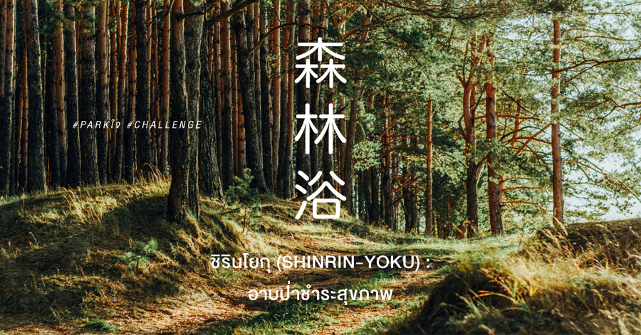 ชิรินโยกุ (Shinrin yoku) : อาบป่าชำระสุขภาพ ชิรินโยกุ (Shinrin yoku) : อาบป่าชำระสุขภาพ