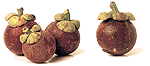 ѧش (Mangosteen)