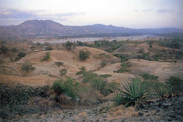 east timor 19