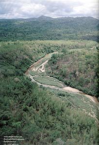 บันทึกจากป่าตะวันตก กับการอยู่รอดของสัตว์ป่า 1 western forest 05