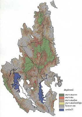 western forest 13