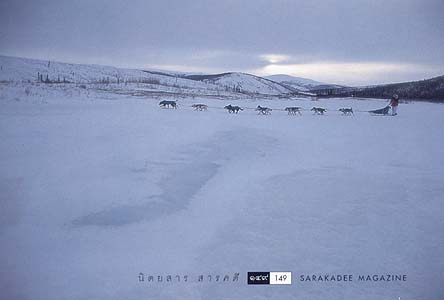 หิมะ ธารน้ำแข็ง และการแข่งขันที่ทรหดที่สุดในโลก 6 yukon quest 06