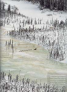 หิมะ ธารน้ำแข็ง และการแข่งขันที่ทรหดที่สุดในโลก 7 yukon quest 07