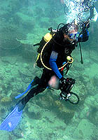 ดร.วรณพ วิยกาญจน์ นักวิทยาศาสตร์ไทยไปสำรวจขั้วโลกใต้ 2 ดร.วรณพ ขณะดำน้ำ สำรวจระบบนิเวศใต้ทะเลไทย