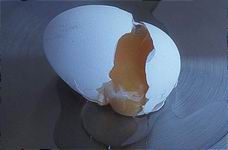 egg10