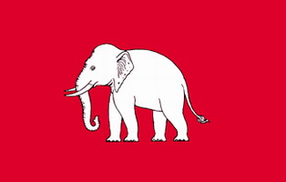 elephant3