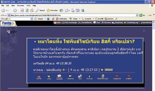 เกร็ดข่าว : ชุมชน (คนรักหมา) ออนไลน์ หนทางสู่ชีวิตใหม่ของหมาจรจัดบนโลกไซเบอร์ 1 h01