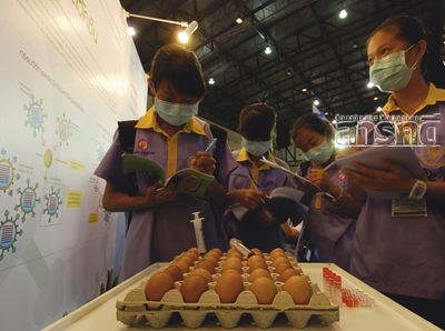 ตามหาไวรัส และวัคซีนต้นแบบเชื้อหวัดใหญ่ ๒๐๐๙ 12 flu2009 14