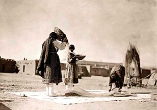ผู้หญิงอินเดียเผ่าเดวะกำลังฝัดข้าวสาลี