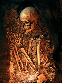 รอบโลก - อีก ๑๐๐ ปีมนุษย์จะสูญพันธุ์ 1 humanlost01