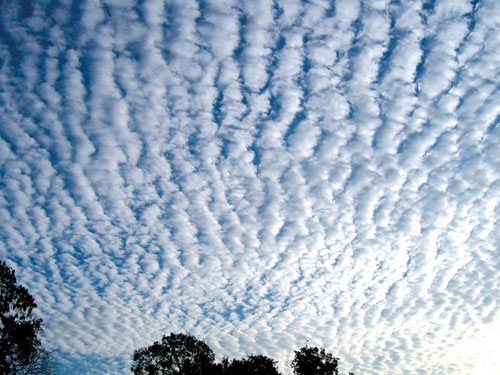 รื่นรมย์ชมเมฆ ความสุขจากฟากฟ้า...ที่ใครก็สัมผัสได้ 7 seecloud08