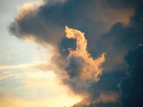 รื่นรมย์ชมเมฆ ความสุขจากฟากฟ้า...ที่ใครก็สัมผัสได้ 11 seecloud12
