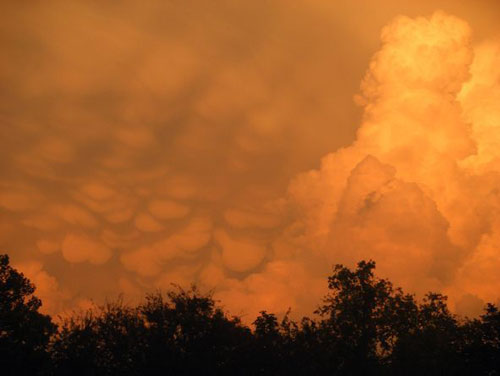 รื่นรมย์ชมเมฆ ความสุขจากฟากฟ้า...ที่ใครก็สัมผัสได้ 19 seecloud19