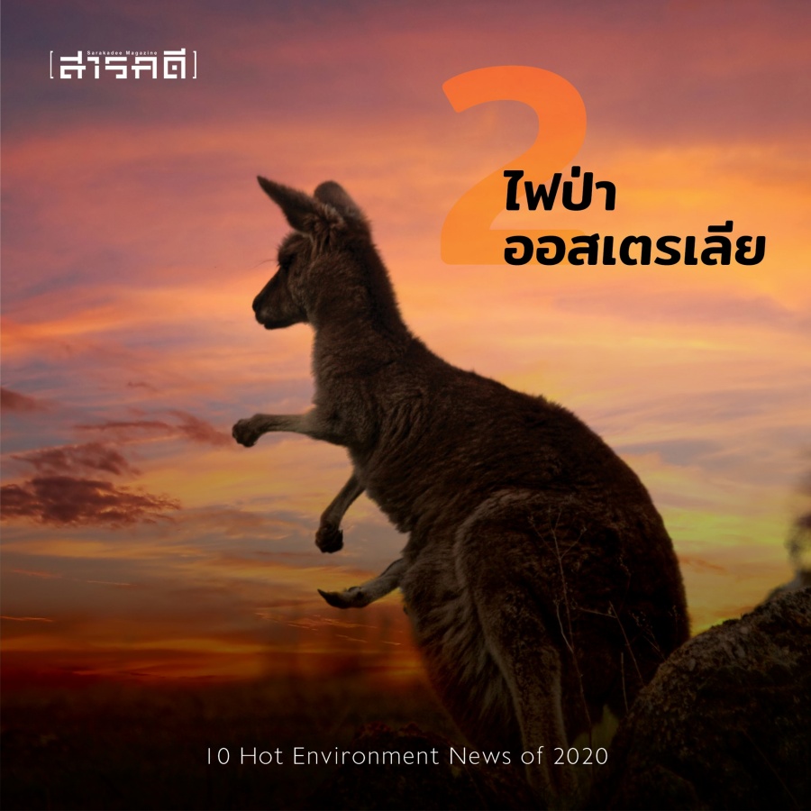 10 Hot Environment News of 2020 10 ข่าวสิ่งแวดล้อมต้องติดตามจากปี 2563 ถึงปี 2564 3 2021envinews02