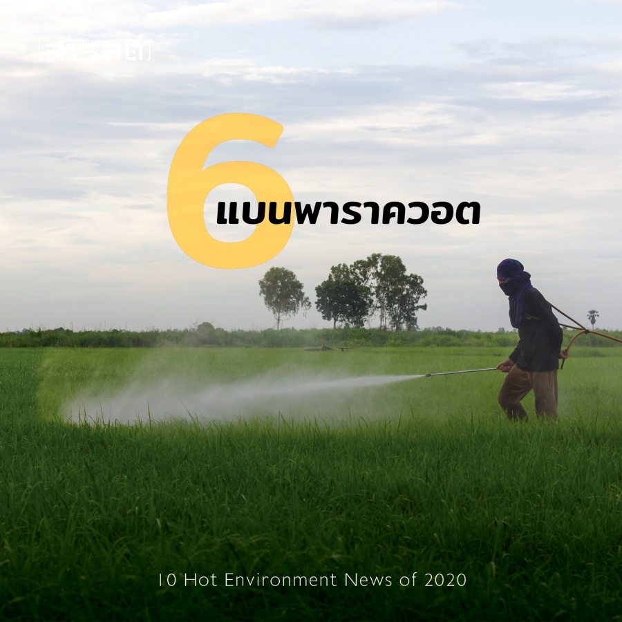10 Hot Environment News of 2020 10 ข่าวสิ่งแวดล้อมต้องติดตามจากปี 2563 ถึงปี 2564 7 2021envinews06