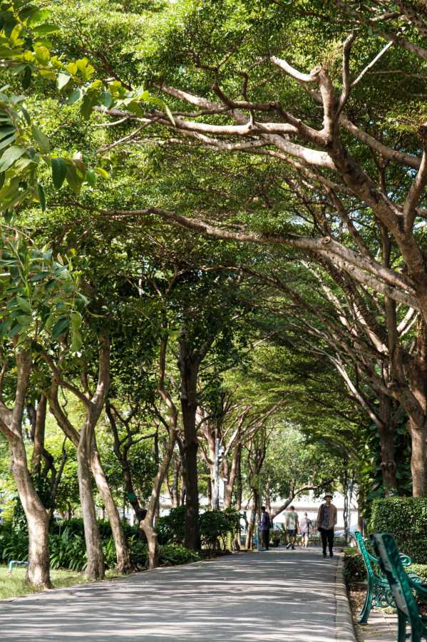 Parkใจ ในสวน : ปักผ้าในสวน ชวนใจกลับบ้าน กับ Sandmade แซน ศกลวรรณ แก้วสมบูรณ์ ชวน Parkใจ @สวนทวีวนารมย์ 29 2025pakpa28