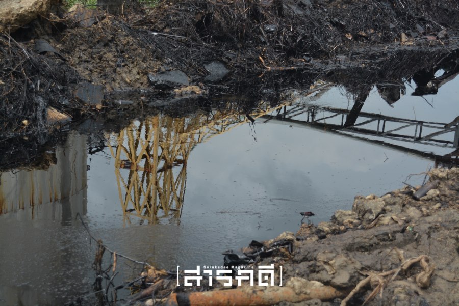 สภารับหลักการร่างกฎหมาย PRTR วาระแรก