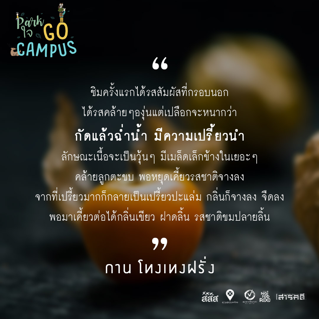 Park ใจ Go Campus ครั้งที่ 3 - ดมกลิ่น ชิมรสชาติ 7 3gocampus06
