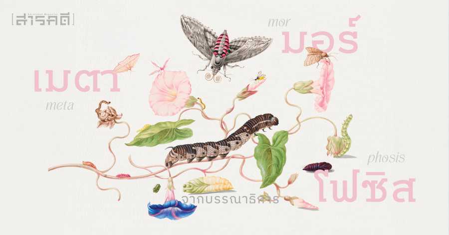 เมตามอร์โฟซิส - จากบรรณาธิการ ฉบับที่ ๔๙๗ 1 เมตามอร์โฟซิส metamorphosis - จากบรรณาธิการ ฉบับที่ 497