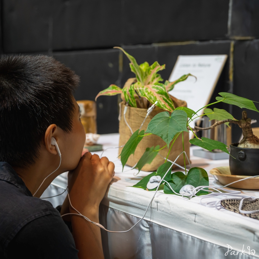 Soul Connect Fest ที่ Lido Connect 19-20 สิงหาคม 2566 2 SoulConnectFest 2