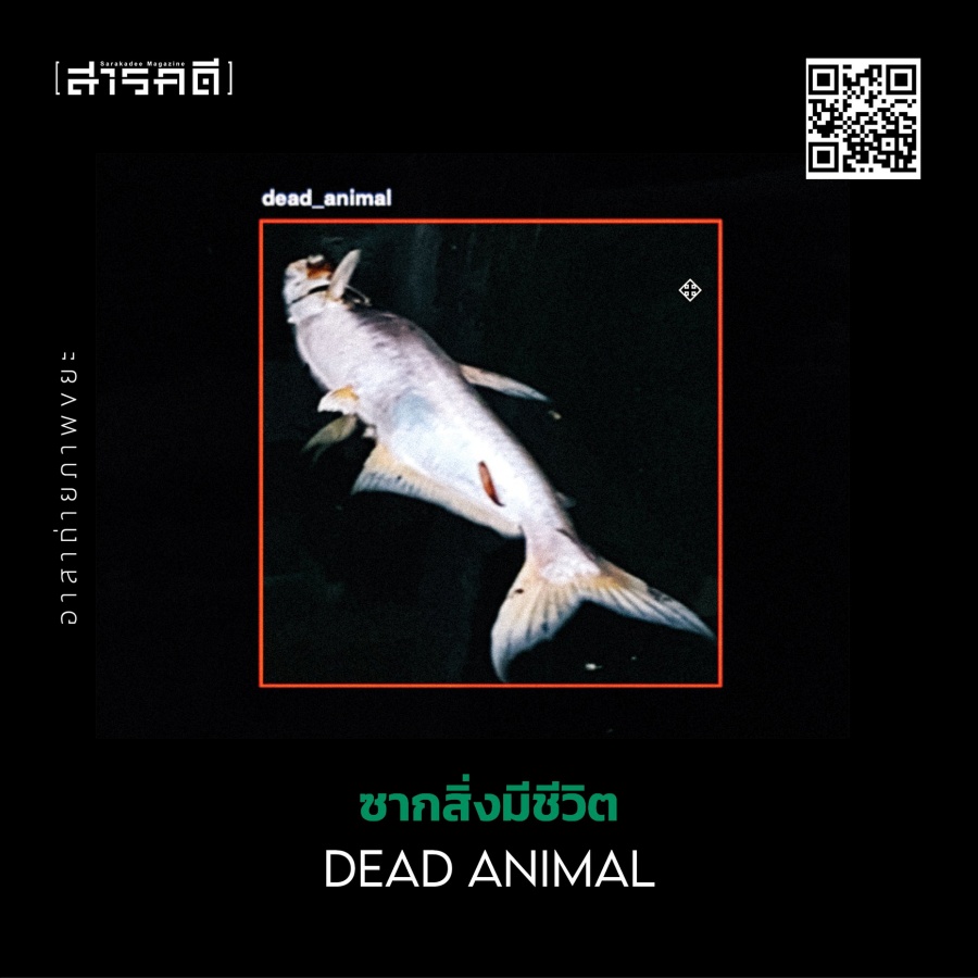 ดักขยะด้วย AI 7 ai plastic07