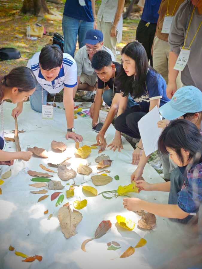 Parkใจในสวน ไปกับใบไม้ไหว ให้ใจหยุดพัก 14 baimaiwai14