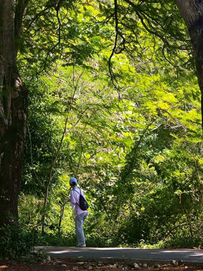 Parkใจในสวน ไปกับใบไม้ไหว ให้ใจหยุดพัก 17 baimaiwai17
