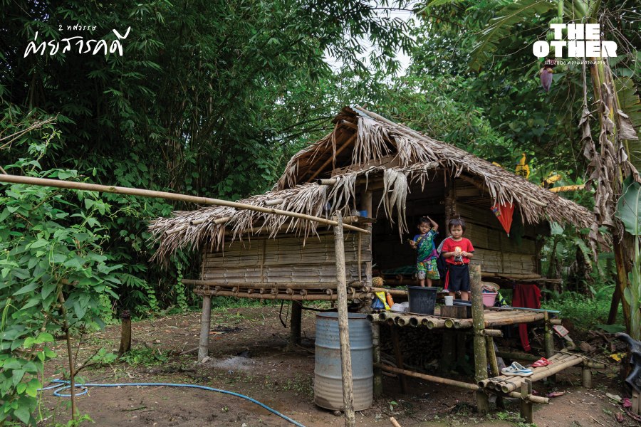 ไผ่กับชาติพันธุ์: สายใยท่ามกลางวิถีชีวิตที่แปรเปลี่ยน 7 bamboo05