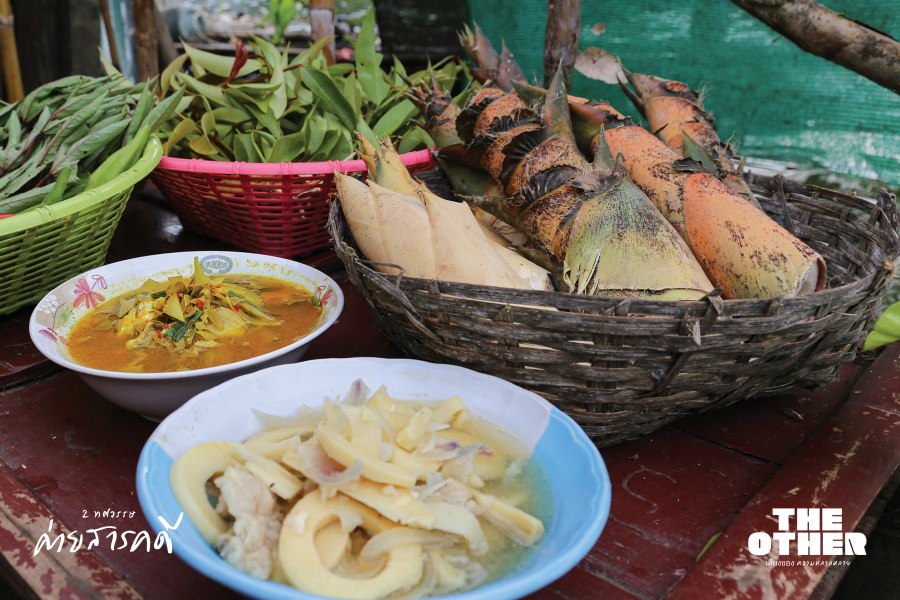 ไผ่กับชาติพันธุ์: สายใยท่ามกลางวิถีชีวิตที่แปรเปลี่ยน 10 bamboo10