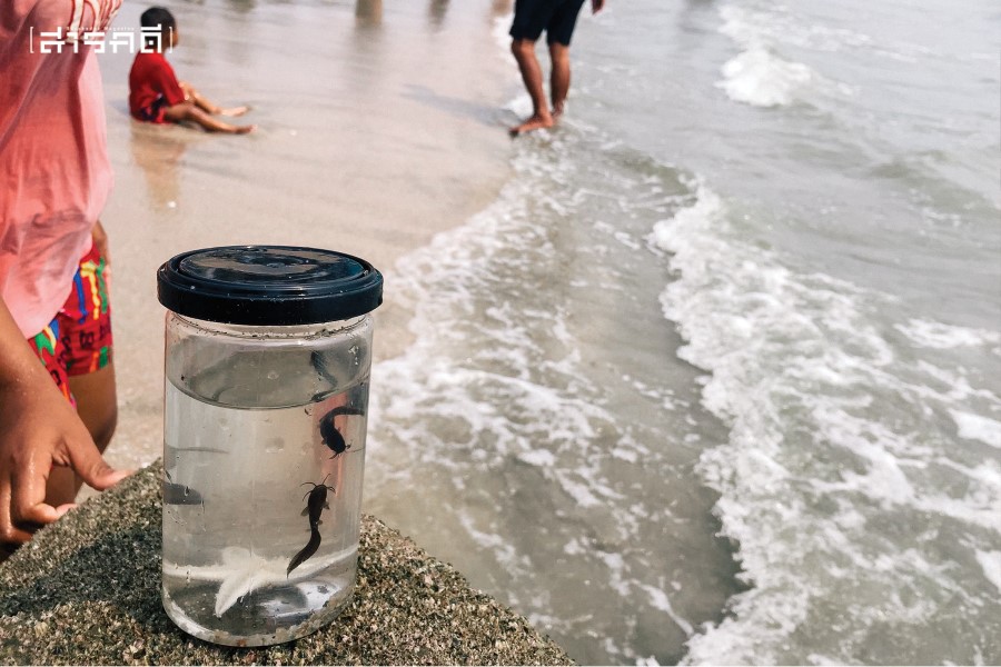 บางแสนในสถานการณ์โควิด-19 3 พอโควิดมานักท่องเที่ยวก็ห่างหายไปจากชายหาดตั้งแต่ก่อนมีประกาศ พ.ร.บ. ฉุกเฉิน คงมีแต่เด็กๆ ในถิ่นมาว่ายน้ำจับปลาเล่นกัน