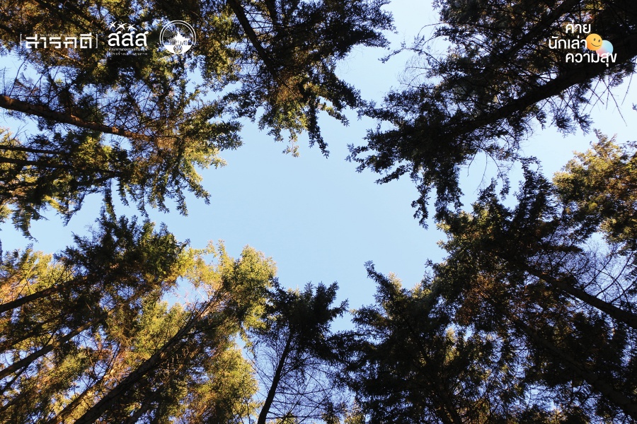 ในความเปลี่ยนแปลง : สุขเล็ก...ในป่าใหญ่ 11 bigforest12