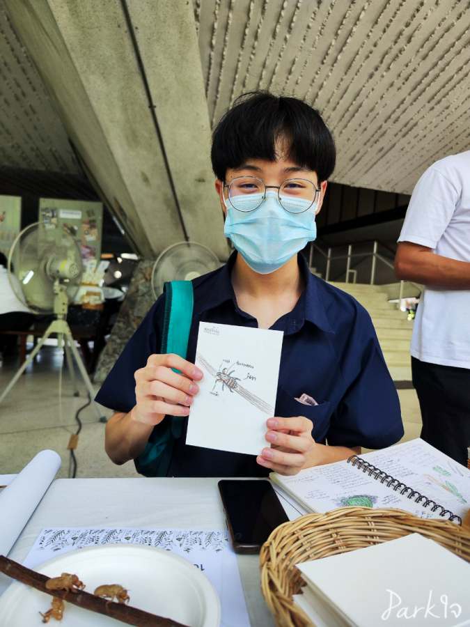 เก็บตกงาน City Nature Challenge 2023 - 29 เมษายน 2566 11 citynaturechallenge15