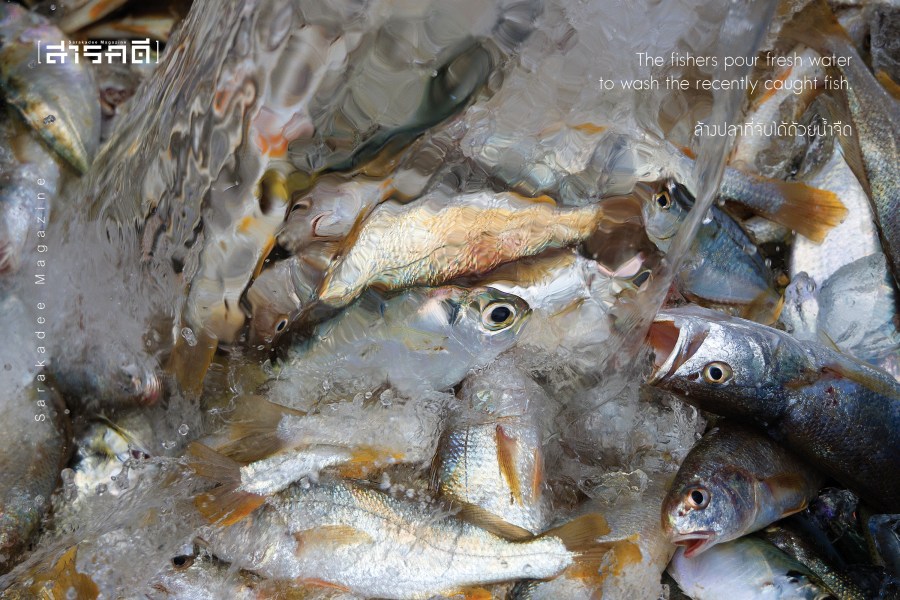 วันนี้ที่ “จะนะ” : จากโรงงานแยกก๊าซสู่โรงไฟฟ้าก๊าซธรรมชาติเหลว 5 climatetracker06