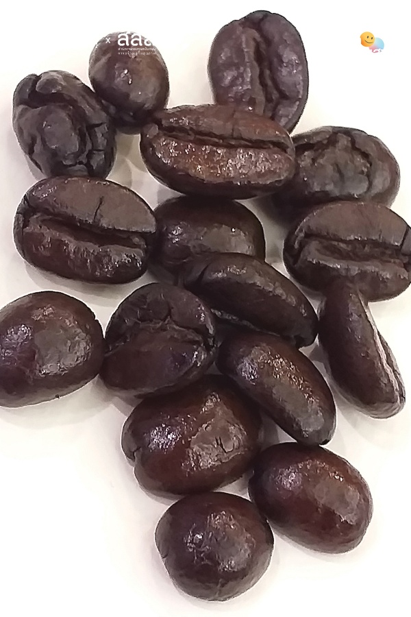 “Coffee Blossoms” ดอกไม้ ความฝัน และแก้วกาแฟ “Coffee Blossoms” ดอกไม้ ความฝัน และแก้วกาแฟ