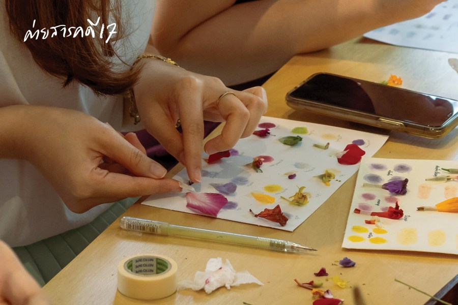 สีสันแห่งบุปผา : ความยั่งยืนจากป่าสู่เมือง 8 colourflower08