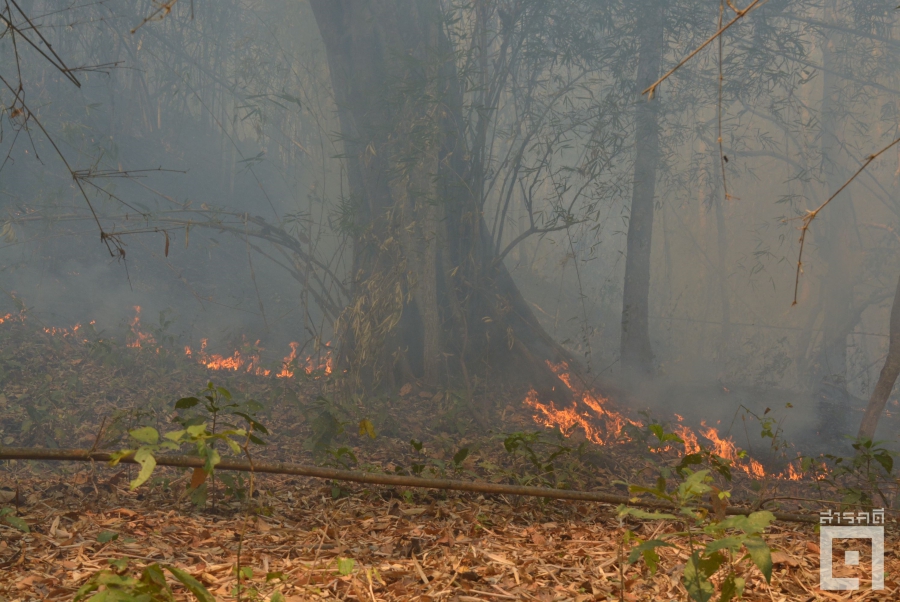 Dangerous Chiangmai - ประมวลสถานการณ์อันตรายเมื่อเชียงใหม่เผชิญค่า PM2.5 สูงสุดของโลก 4 dangerous chiangmai07