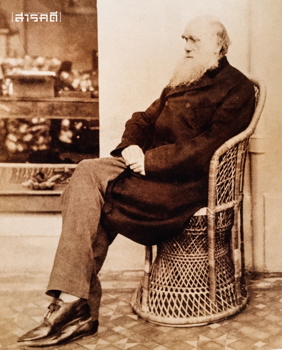 เยี่ยมบ้าน Charles Darwin 18 Charles Darwin