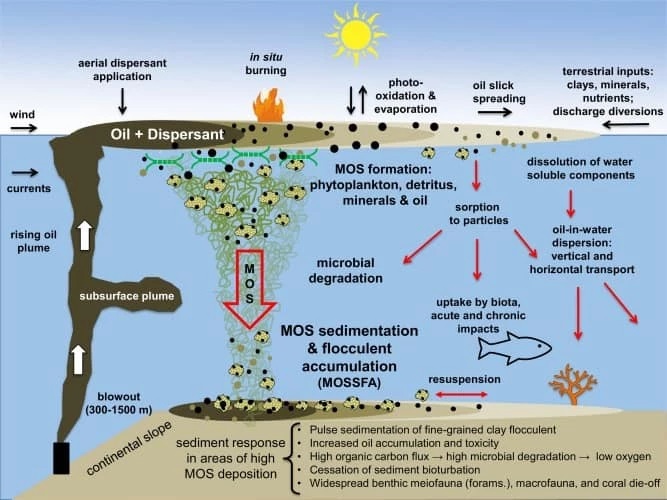 อ่าวไทย น้ำมันดิบ และการใช้ dispersant ขจัดคราบน้ำมัน 7 dispersant07