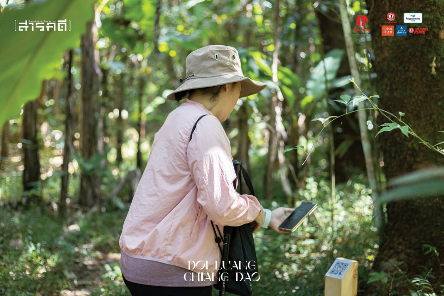 ดอยหลวงเชียงดาว ในวันที่ไม่ต้องการ “ผู้พิชิต” แต่ต้องการ “ผู้พิทักษ์” 20 doiluang0228 24517